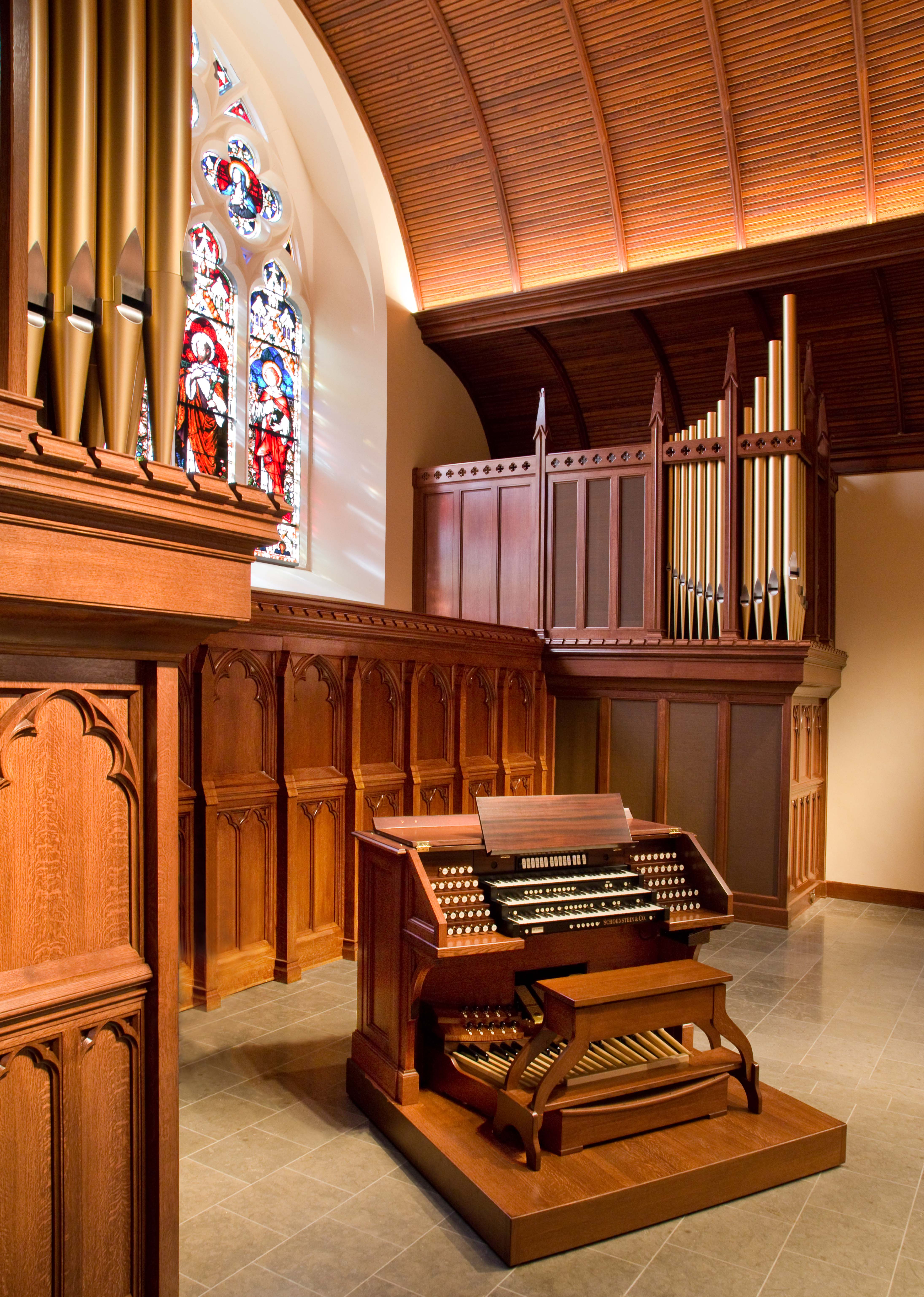 Organ 14